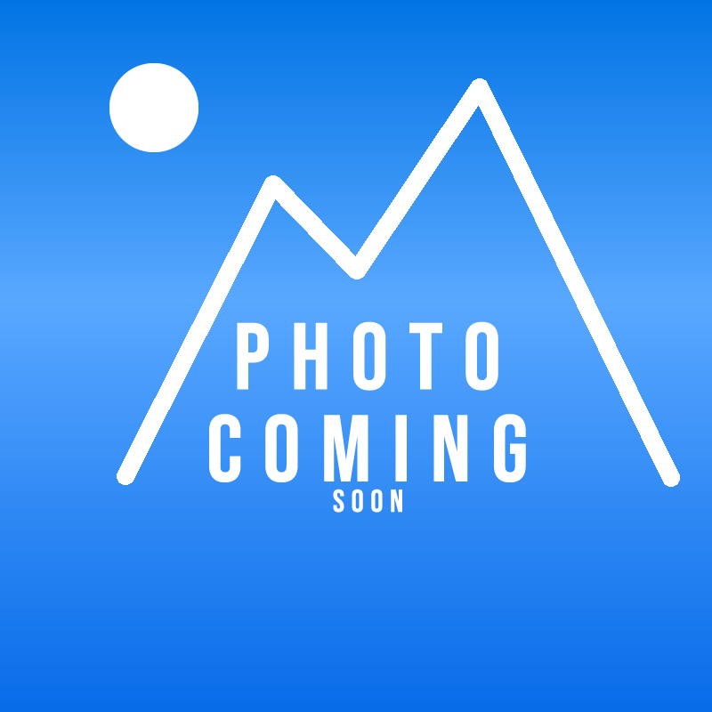 Dil ve Edebiyat (Filoloji)